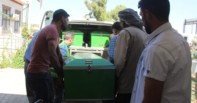 Şanlıurfa'da yılanın ısırdığı kadın öldü