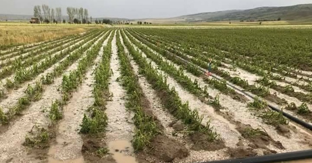 Tarlaları ve evleri su bastı