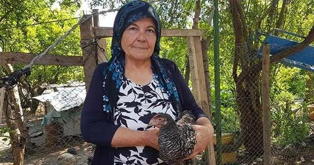 Tavuğa annesinin adını verdi!