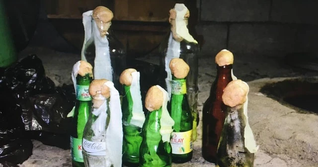 Van'da terör operasyonu