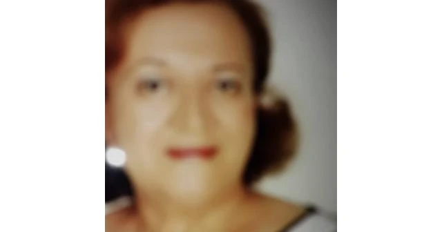 Zeynep İlkay Gökçek kimdir?