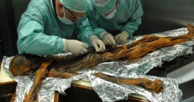 5 Bin yaşındaki buz adam Ötzi'nin son yemeği belli oldu