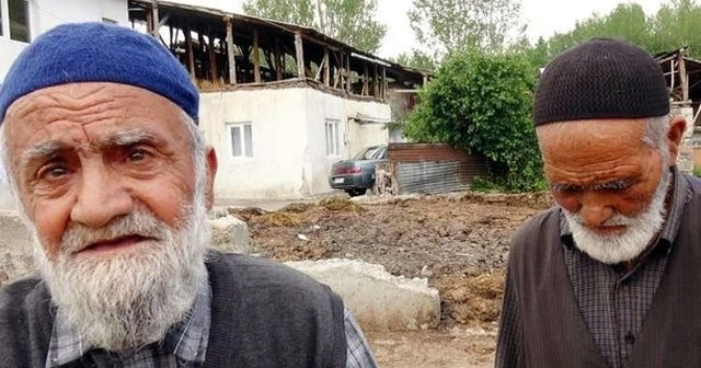 Erzurum’da aynı köyde ikinci ayı saldırısı