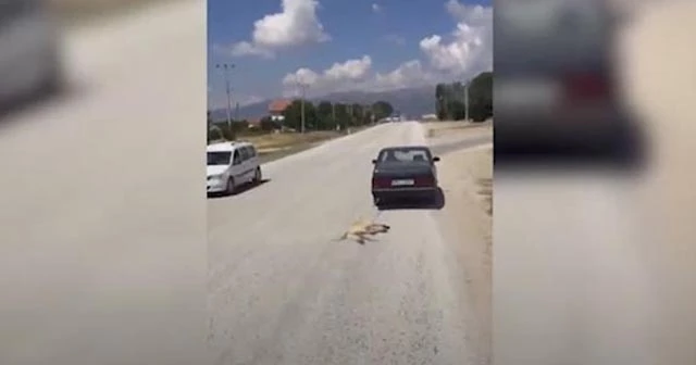 Köpeği otomobile bağlayıp sürükleyen kişi yakalandı