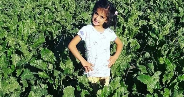 Küçük Eylül'ün öldürülmesiyle ilgili Hükümetten açıklama: Doğru olmayan bilgiler var