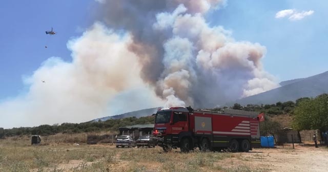 Torbalı kaymakamı orman yangınındaki acı bilançoyu açıkladı