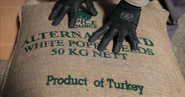 Türkiye, Özbekistan'ın 4'üncü büyük ticari ortağı