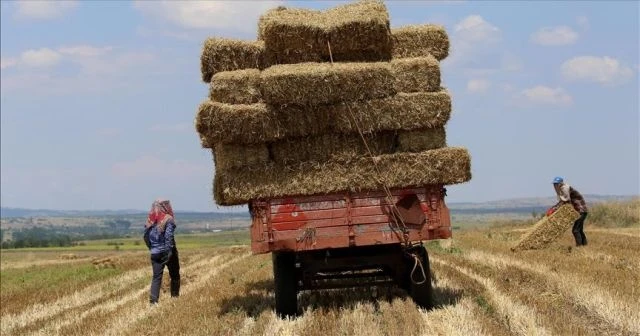 &#039;Stokçular saman fiyatlarını yükseltiyor&#039;