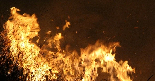 Alev alev yandı: 4 saatte söndürüldü