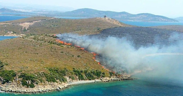Ayvalık Maden Adası'nda yangın çıktı