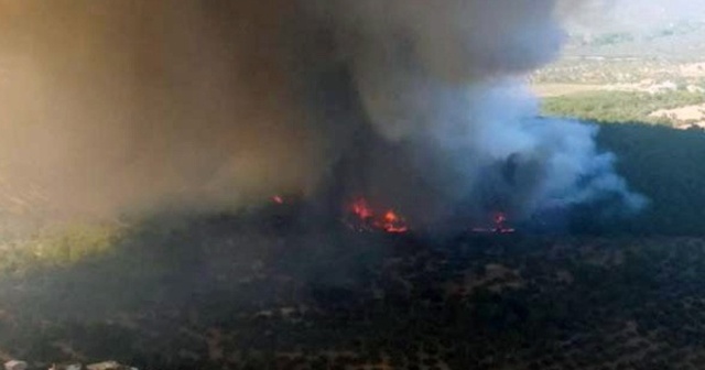 Çanakkale&#039;de büyük orman yangını