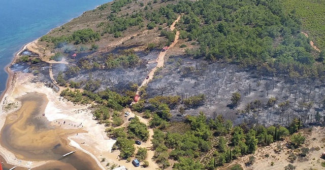 Cunda Adası&#039;nda orman yangını