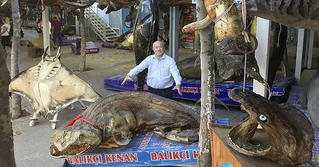 Dünyada ilk, Türkiye'de tek! O da Beylikdüzü'nde...