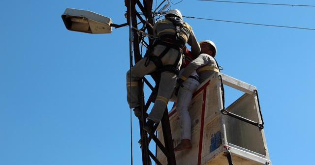 Elektrik direğinde asılı kaldı