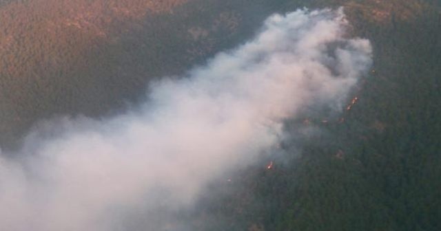 Hatay'da orman yangını