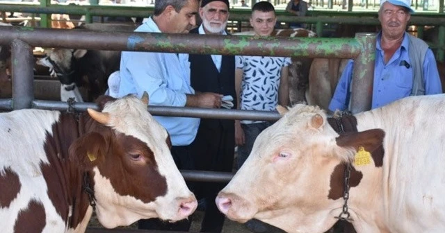 Hayvan pazarlarında bayram yoğunluğu