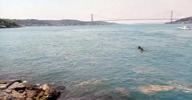 Her Kurban Bayramı'nda yaşanıyordu! Bu kez olmadı