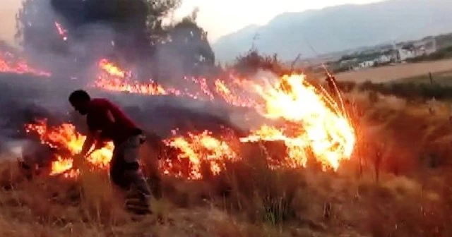 Kahramanmaraş’ta orman yangını