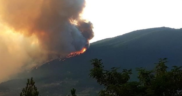 Kastamonu’da orman yangını