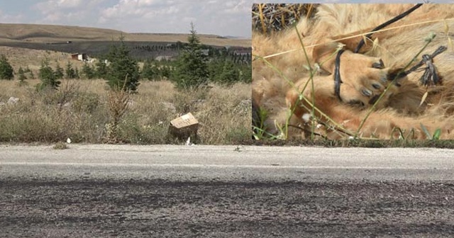 Konya&#039;da vahşet! Elleri bağlanmış şekilde cesedi bulundu