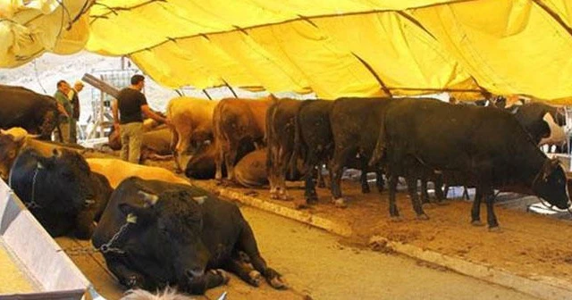 Kurban pazarlarında sahte paraya dikkat!