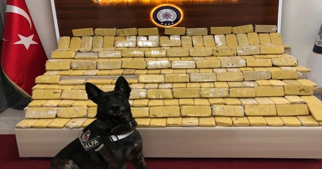 Kurbanlık yüklü kamyondan 104 kilo eroin çıktı