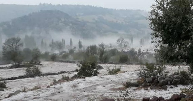 Manisa&#039;da dolu yağışı ekili alanlara zarar verdi