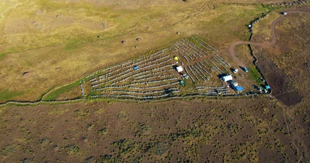 Muş balında rekolte beklentisi 3 bin 600 ton