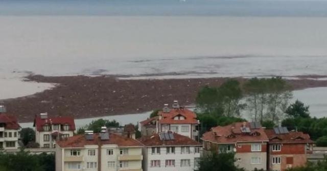 Ordu&#039;da tonlarca fındık denize aktı