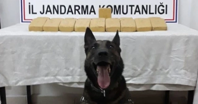 Şırnak’ta ele geçirildi! 14 kilo...