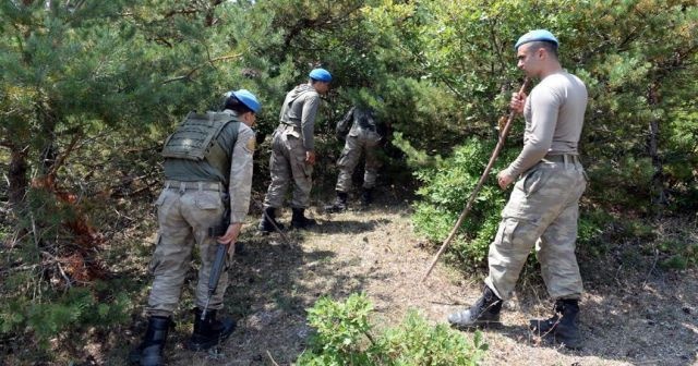 Tokat'ta 3 yaşındaki kız çocuğunun arama çalışmaları sürüyor