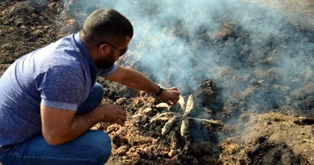 Yanan toprağı görünce bakın ne yaptılar!