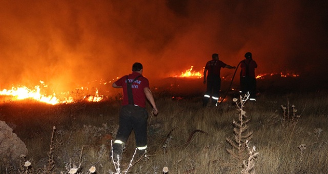 Adıyaman’da orman yangını korkuttu