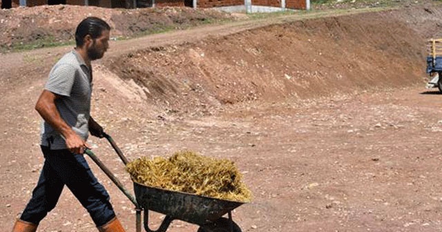 AVM yöneticisi köyünde hayvancılığa başladı