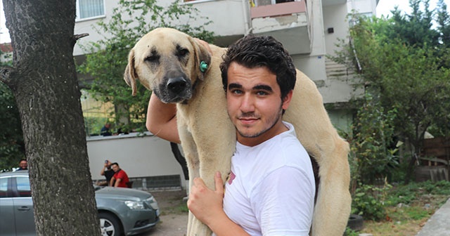 Hasta köpeği tedavi ettirmek için sırtında taşıyan koca yürekli genç konuştu