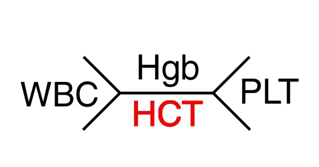 HCT Düşüklüğü ve HCT Yüksekliği Nedir? HCT Normal Değeri Kaç Olması Lazım