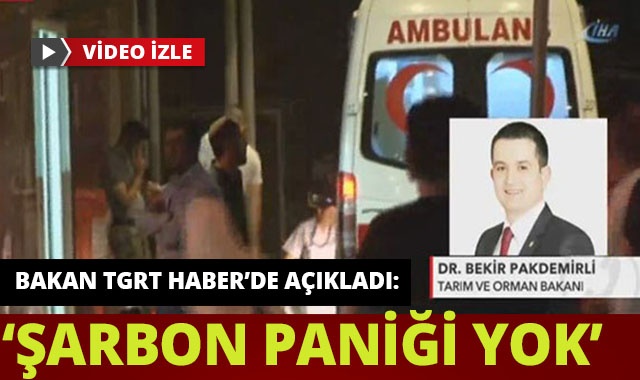 Tarım Bakanı Pakdemirli açıkladı: &quot;Şarbon paniği yok&quot;