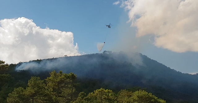 Uşak&#039;ta korkutan yangın