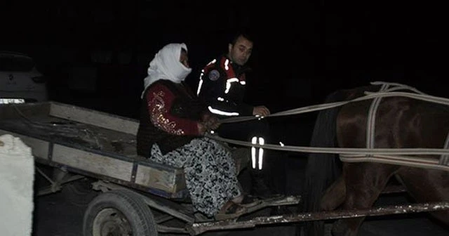 At arabasıyla gözaltına alındılar