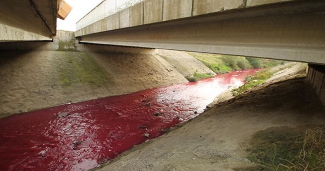 Bu görüntü Tekirdağ&#039;dan! Dere &#039;kırmızı ve pembe&#039; akıyor