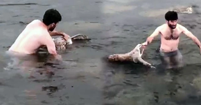 Buz gibi suya dalıp çıkardı! &#039;Görünce şoka uğradım&#039;