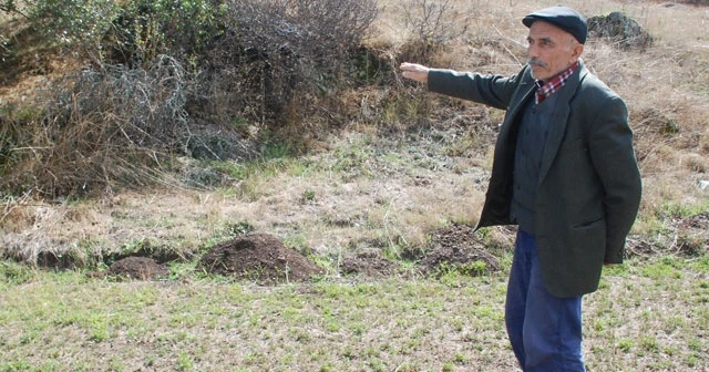 Köylülerin dev yılan kâbusu! Dışarı çıkamaz oldular...