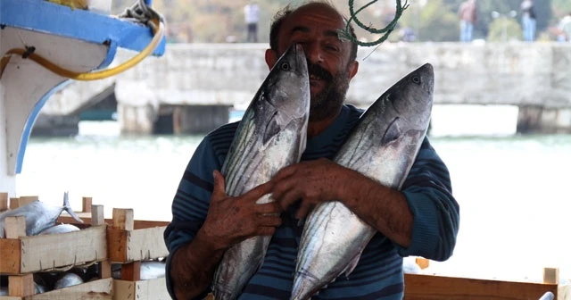 Düzce Akçakoca'da balıkçılar tonlarca palamutla limana döndü