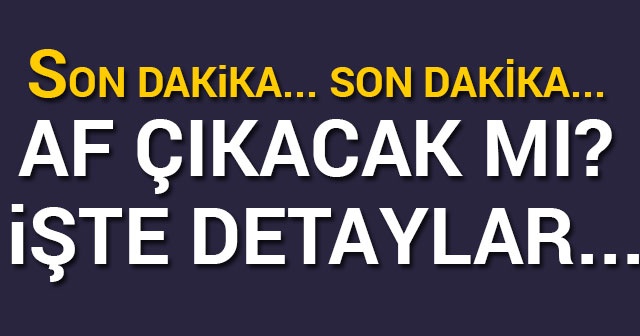 SON DAKİKA: AF HABERLERİ MHP Lideri Devlet Bahçeli açıklaması: &#039;MHP olarak af yasası ile ilgili teklifi Meclise verdik&#039;