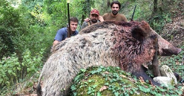 Tam 350 kilo, öldürdükleri gibi fotoğraf çektirdiler!