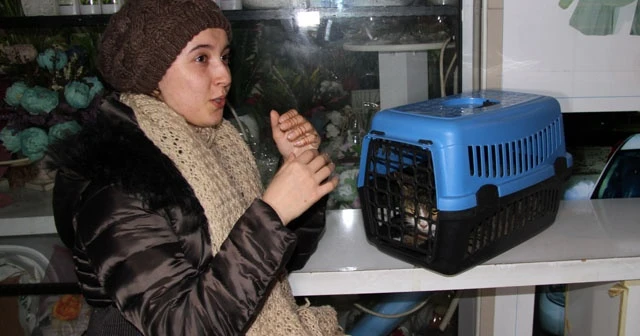 Balkon korkuluklarına saplanan kediyi itfaiye kurtardı