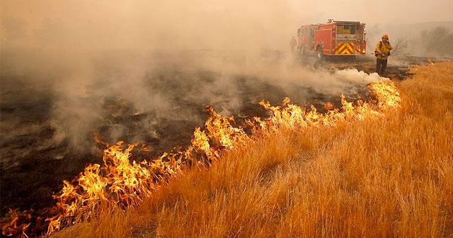 California&#039;daki orman yangınlarında bilanço ağırlaşıyor