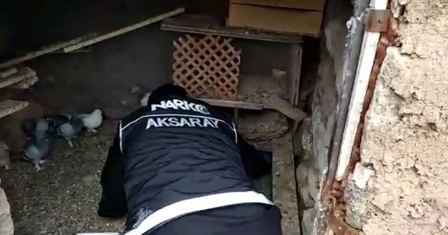 Evin bahçesindeki kümeste 592 adet uyuşturucu hap ele geçirildi