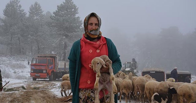 Karda mahsur kalan 5 çoban ve sürü kurtarıldı
