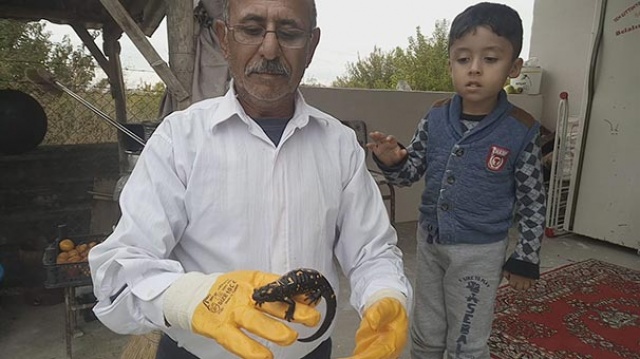 Malatya’da bulundu: 60 yaşındayım, böylesini ilk defa gördüm